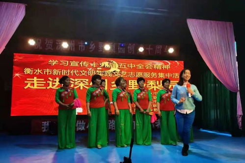 衡水市舉辦新時代文明實踐文藝志愿服務集中活動 搭建文化藝術交流平臺